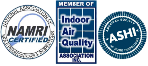 Certified mold inspector and mold removal