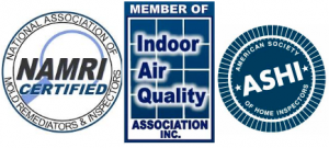 Cleveland Certified Air Quality Testing, Mold Inspection & Mold Remediation