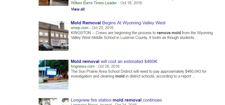 Why Does Mold Removal Continue to Capture Headlines? cleveland mold inspector