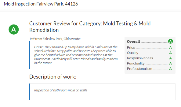 Fairview Park Mold Inspector Customer Review