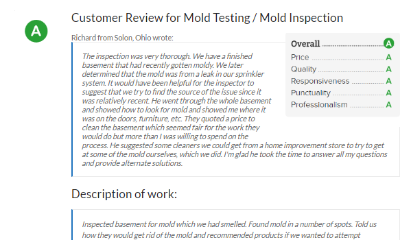 Solon Mold Inspector & Mold Removal Customer Review