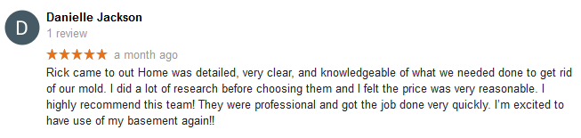 Cleveland Area Mold Remediation Google Review Dutch's Mold Inspection